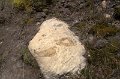 095 IMG_6946